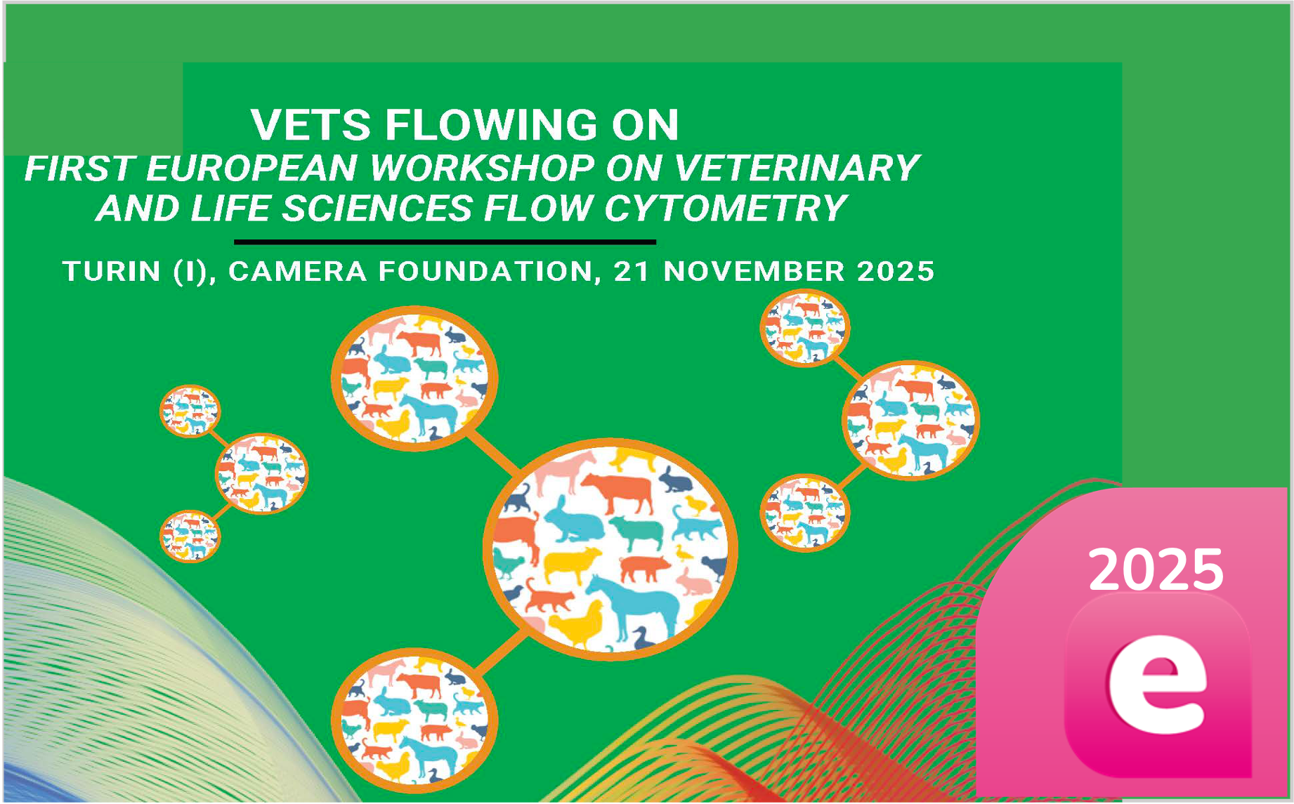 XLIX Congress of the Physical Chemistry Division of the Società Chimica Italiana – 4/7 Settembre 2023 – Torino